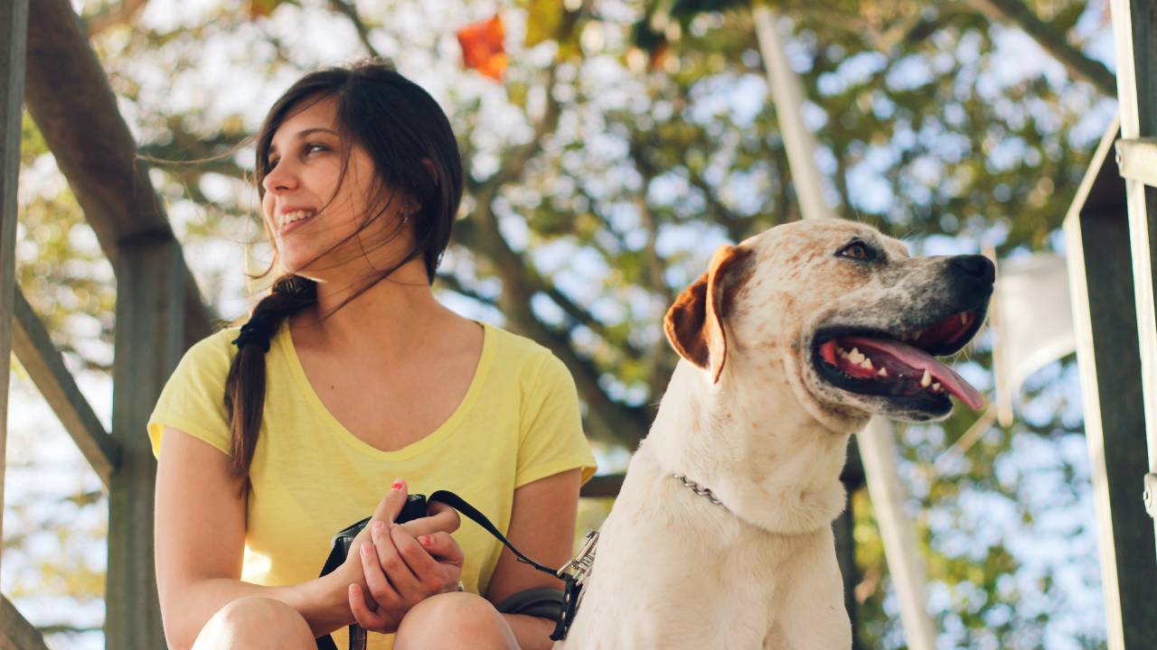 Mulher de camiseta amarela está sentada segurando a coleira de seu cachorro